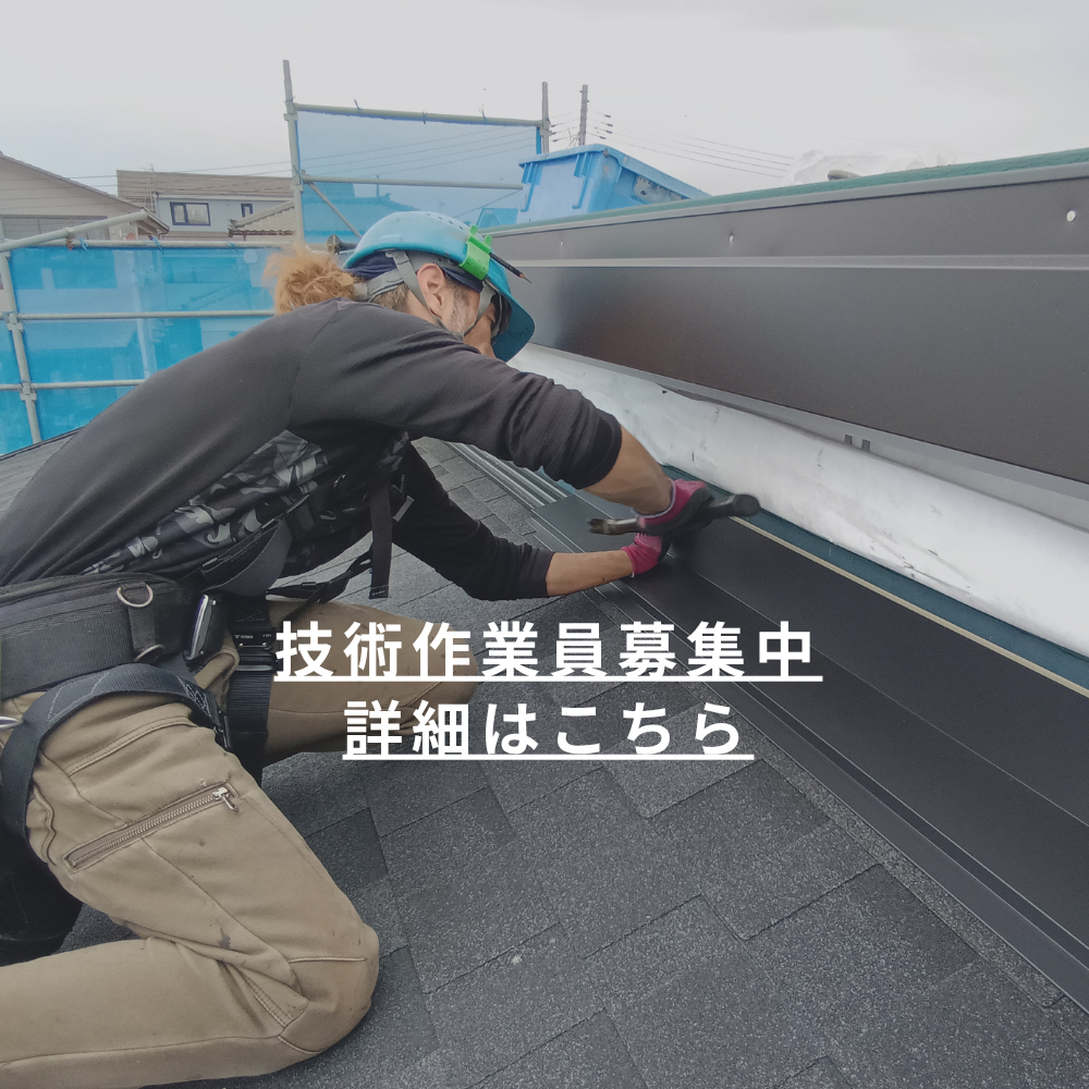 採用情報